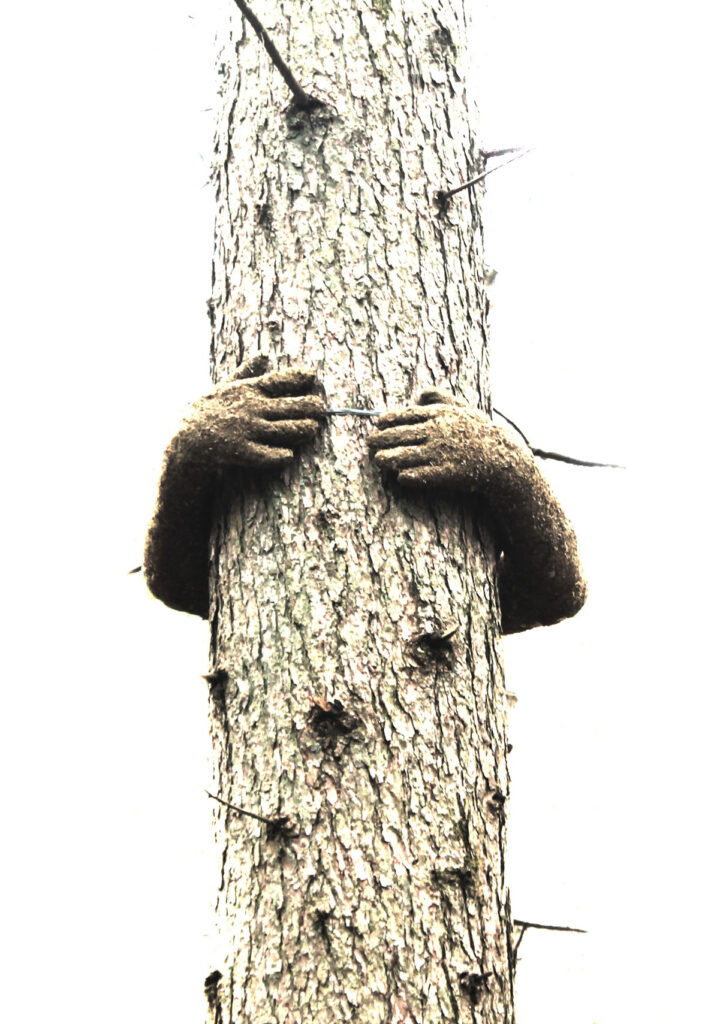 Hands around a tree branch, image is extremely bright