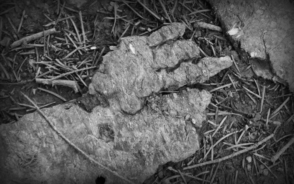 An image of some sort of rock/stone formation which looks a lot like a hand or feet. The image is black and white and has a vignette